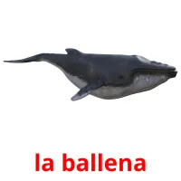 la ballena Tarjetas didacticas