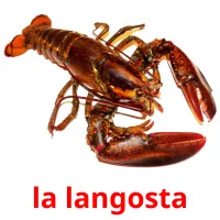 la langosta picture flashcards