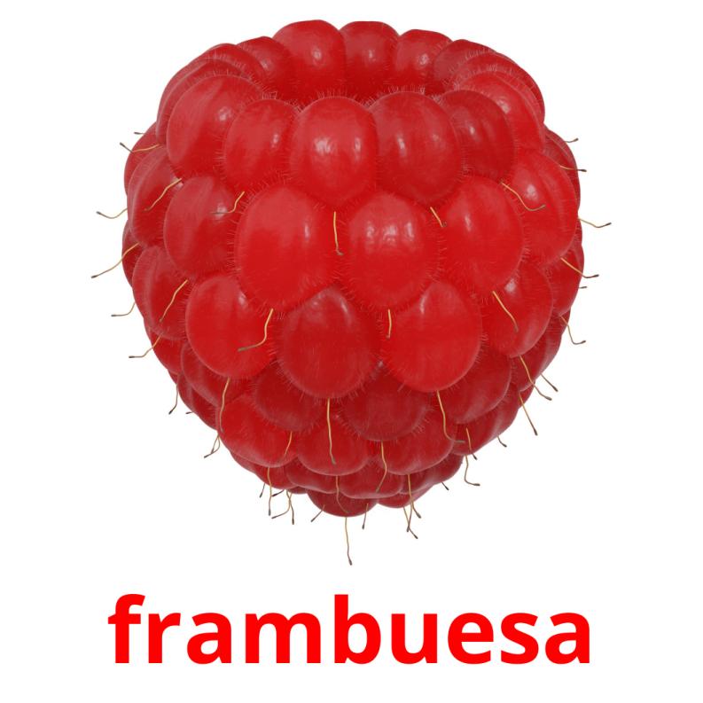 frambuesa picture flashcards