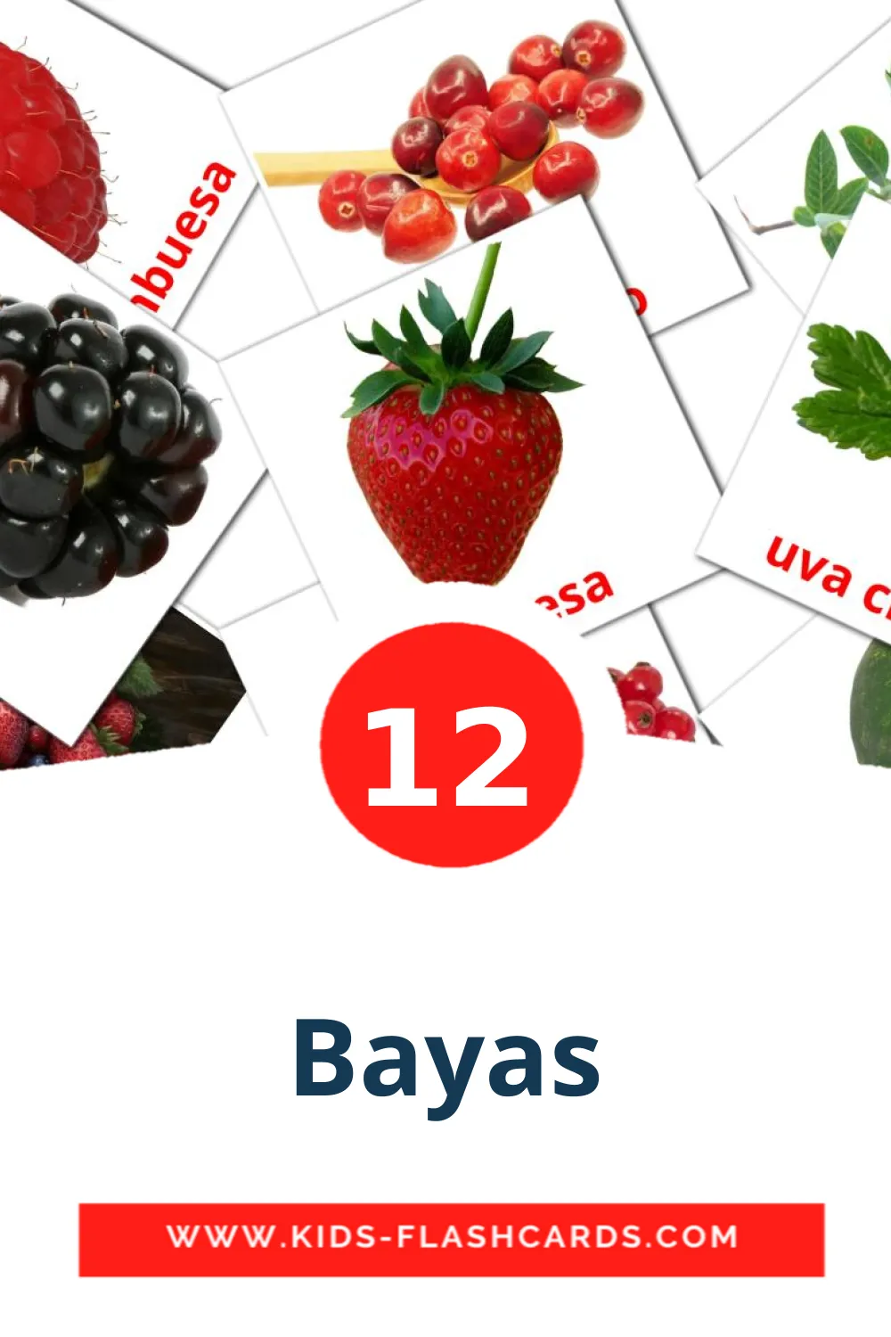 12 Bayas Picture Cards for Kindergarden in spanish