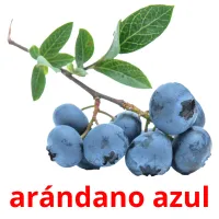 arándano azul picture flashcards