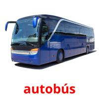 autobús card for translate