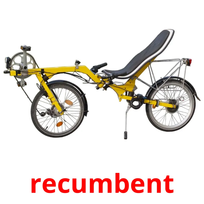 16 FREE Bicycle transport Flashcards PDF Spanish Words