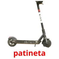 patineta Tarjetas didacticas