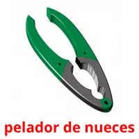 pelador de nueces Tarjetas didacticas