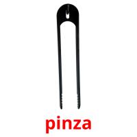 pinza picture flashcards