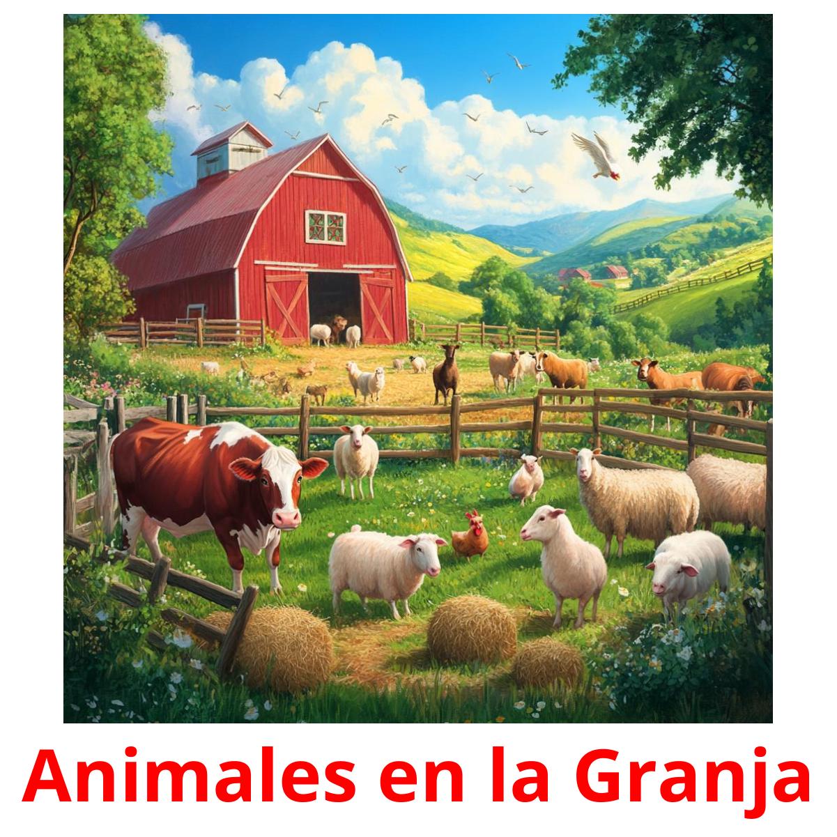 Animales en la Granja ansichtkaarten