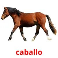 caballo cartões com imagens