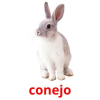 conejo cartões com imagens