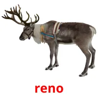 reno cartões com imagens