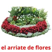 el arriate de flores Bildkarteikarten