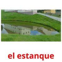 el estanque Bildkarteikarten