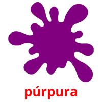 púrpura flashcards illustrate
