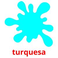 turquesa picture flashcards