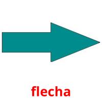 flecha picture flashcards