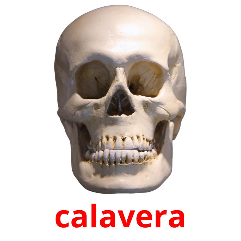 calavera picture flashcards