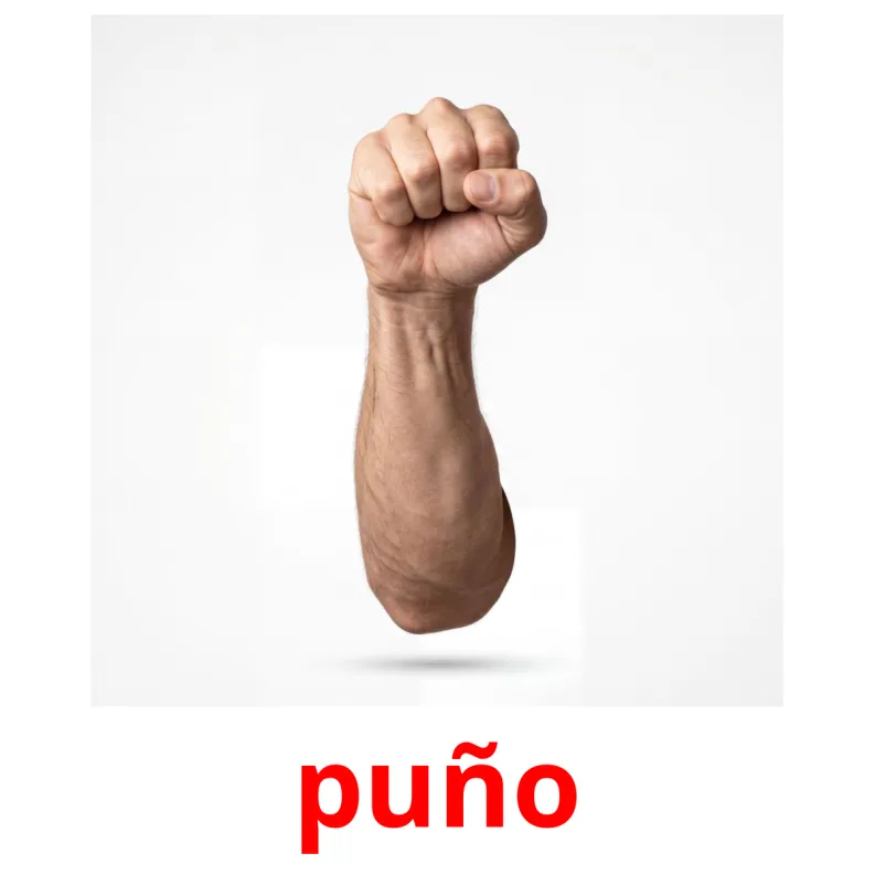 26 Tarjetas de Aprendizaje de Partes del Cuerpo GRATIS en PDF ...