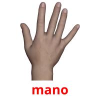 mano card for translate