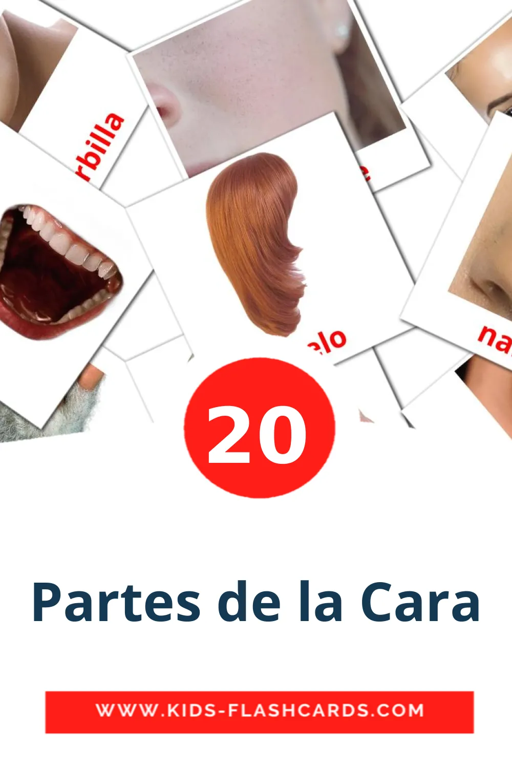 20 tarjetas didacticas de Partes de la Cara para el jardín de infancia en español