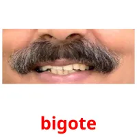 bigote Tarjetas didacticas