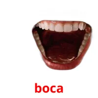 boca Tarjetas didacticas