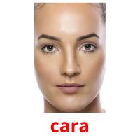 cara picture flashcards