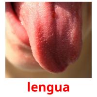 lengua picture flashcards