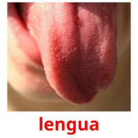 lengua Tarjetas didacticas