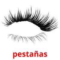 pestañas Tarjetas didacticas