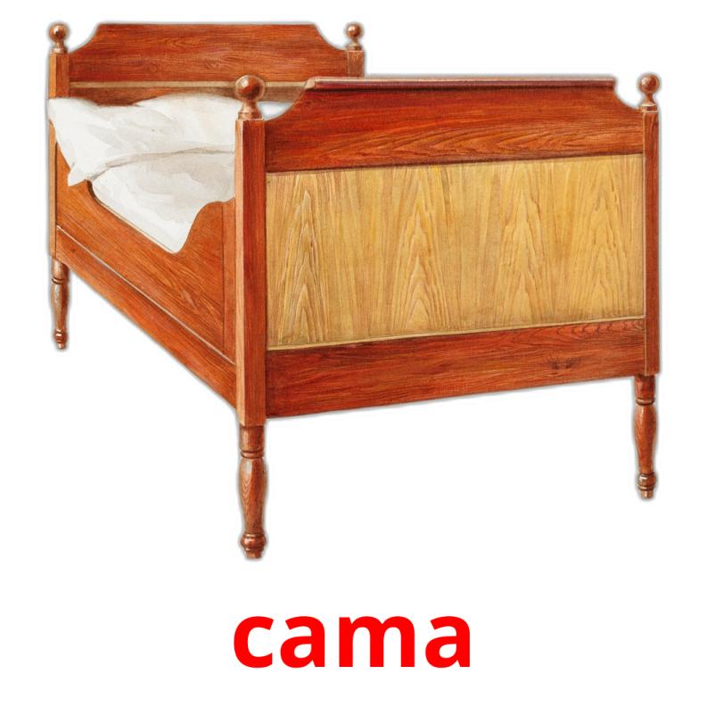 cama picture flashcards