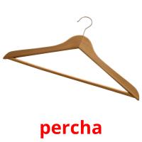 percha picture flashcards