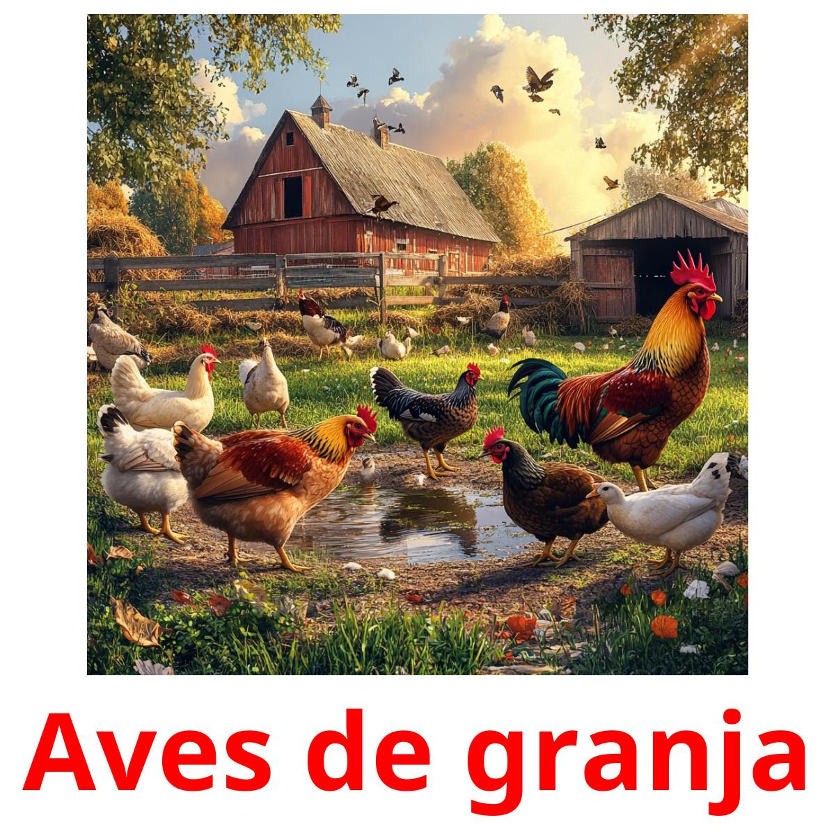 Aves de granja cartões com imagens