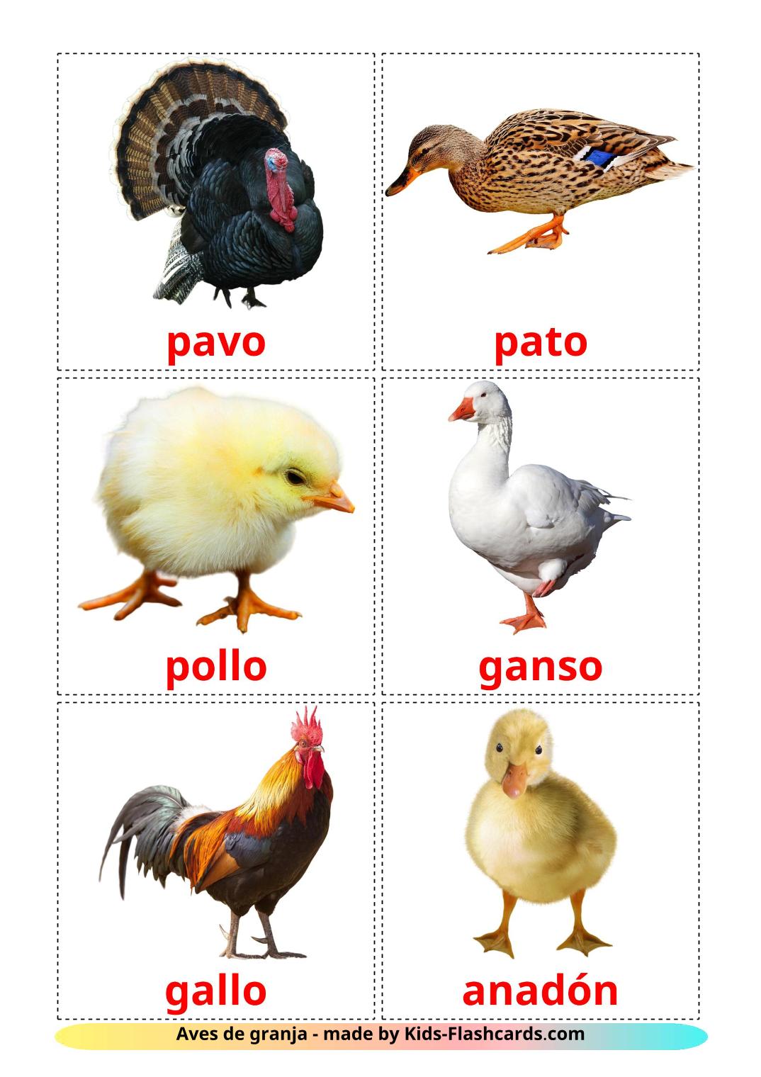 Farm birds - 11 Free Printable spanish Flashcards 