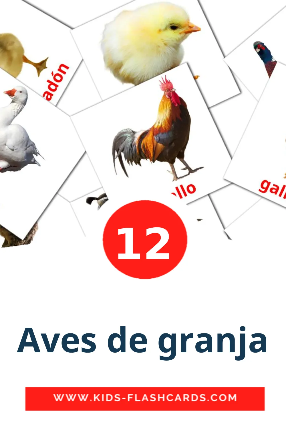 12 Aves de granja fotokaarten voor kleuters in het spaans