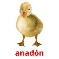 anadón card for translate