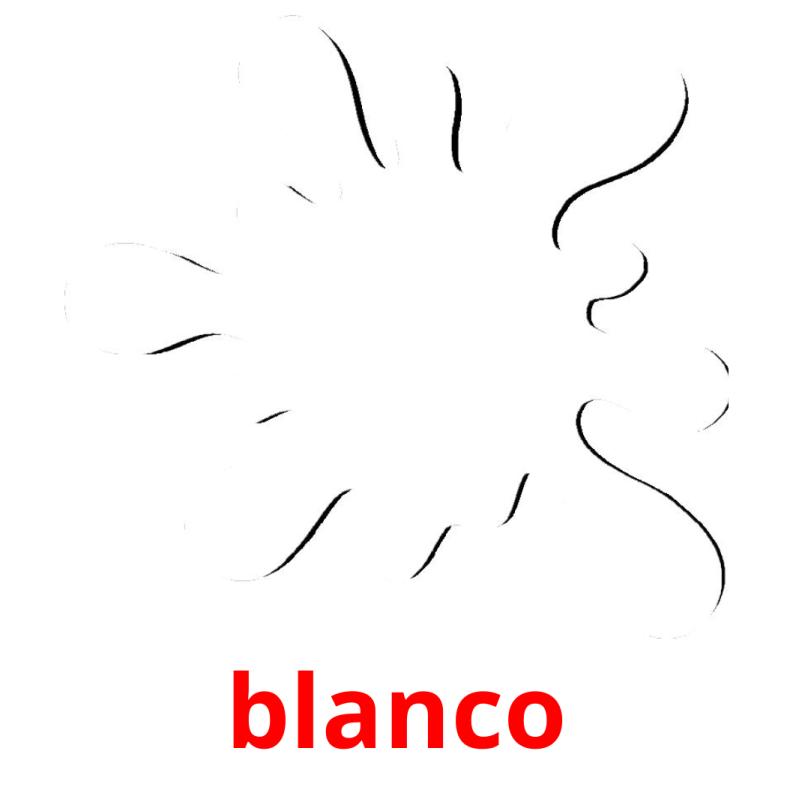 blanco picture flashcards