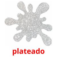 plateado picture flashcards