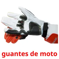 guantes de moto Tarjetas didacticas