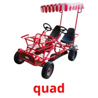 quad Tarjetas didacticas