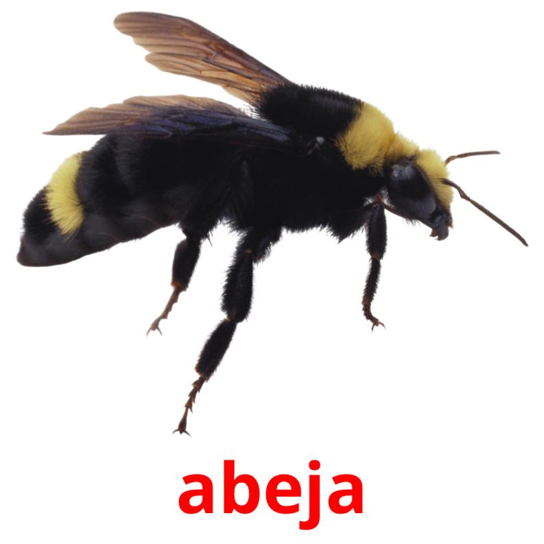 abeja picture flashcards