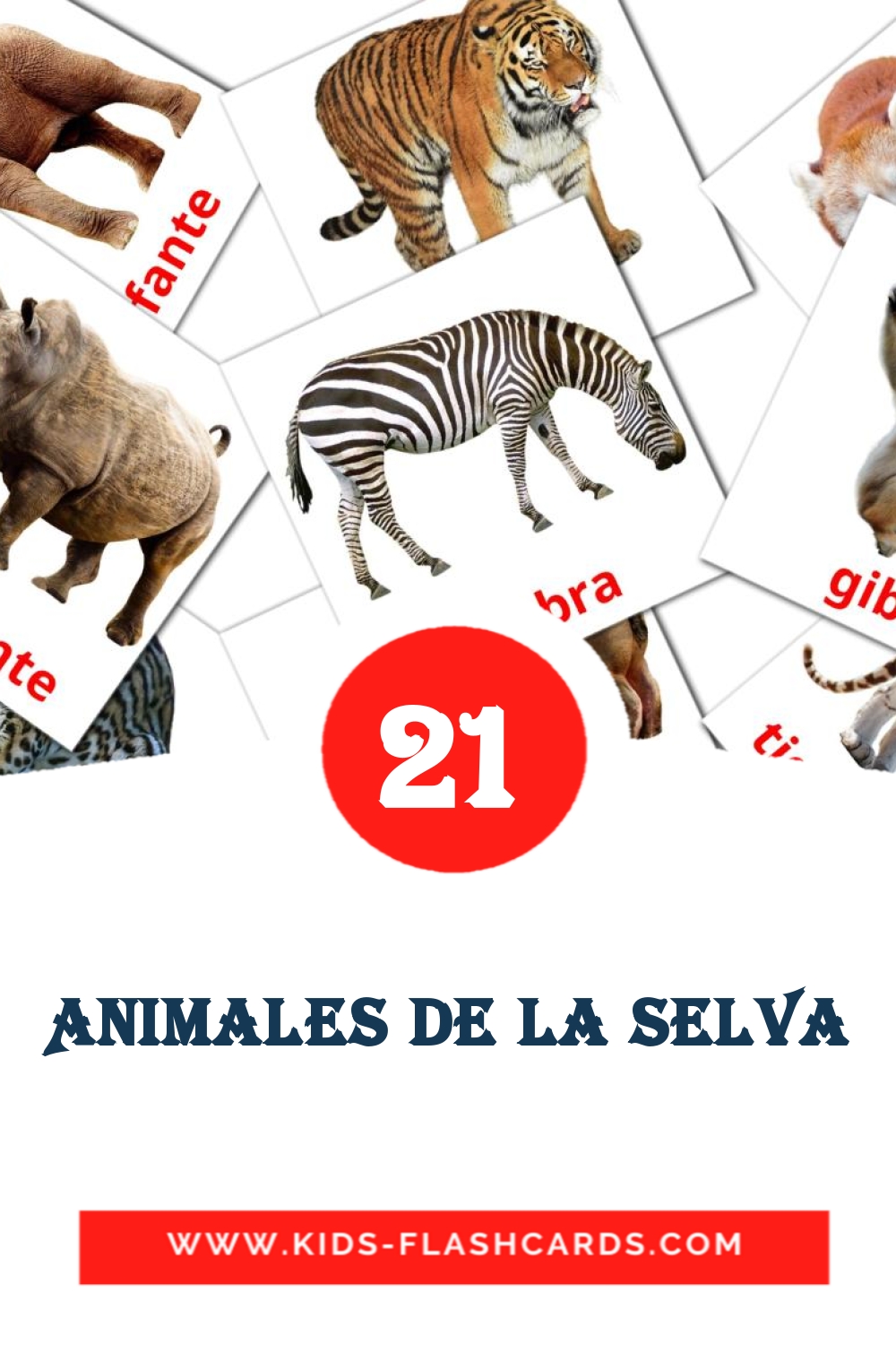 21 tarjetas didacticas de Animales de la Selva para el jardín de infancia en español