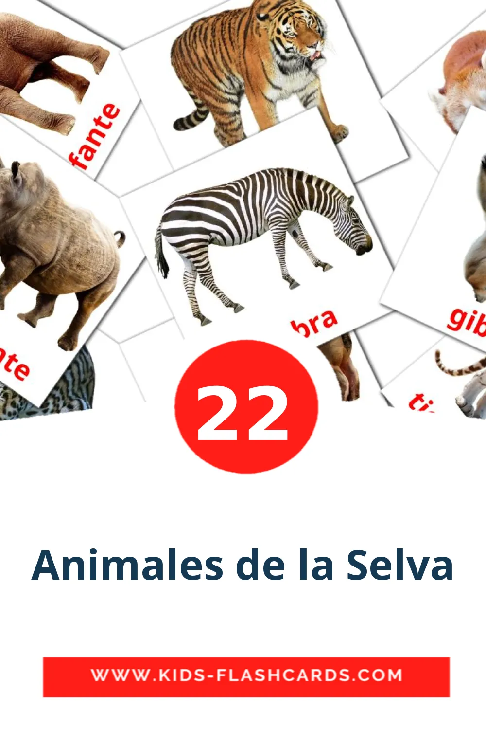 22 tarjetas didacticas de Animales de la Selva para el jardín de infancia en español