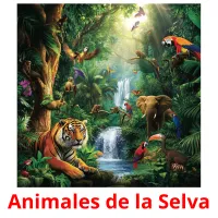 Animales de la Selva Tarjetas didacticas