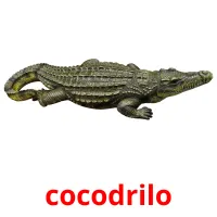 cocodrilo Tarjetas didacticas