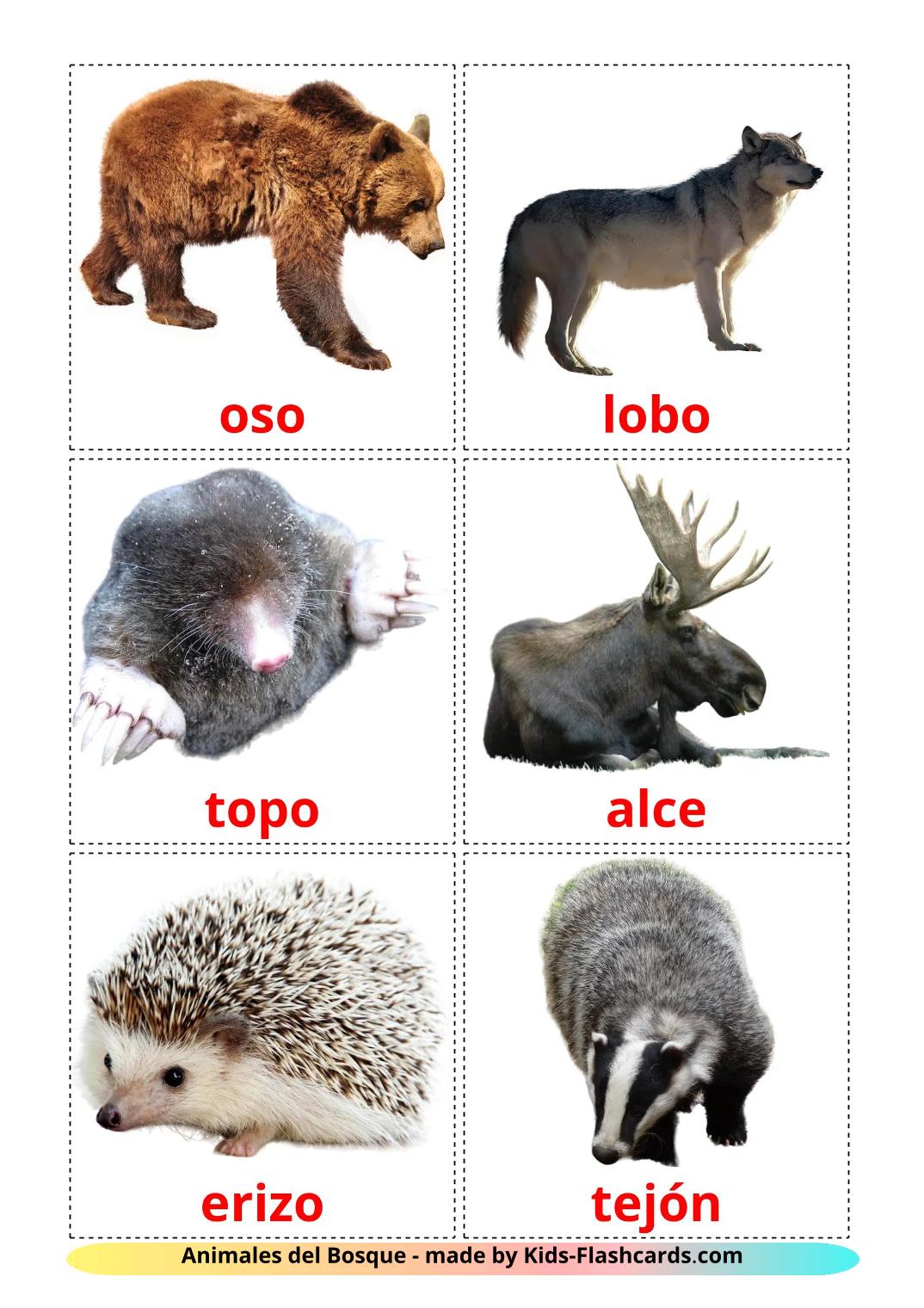 Animais da Floresta - 23 Flashcards espanholes gratuitos para impressão