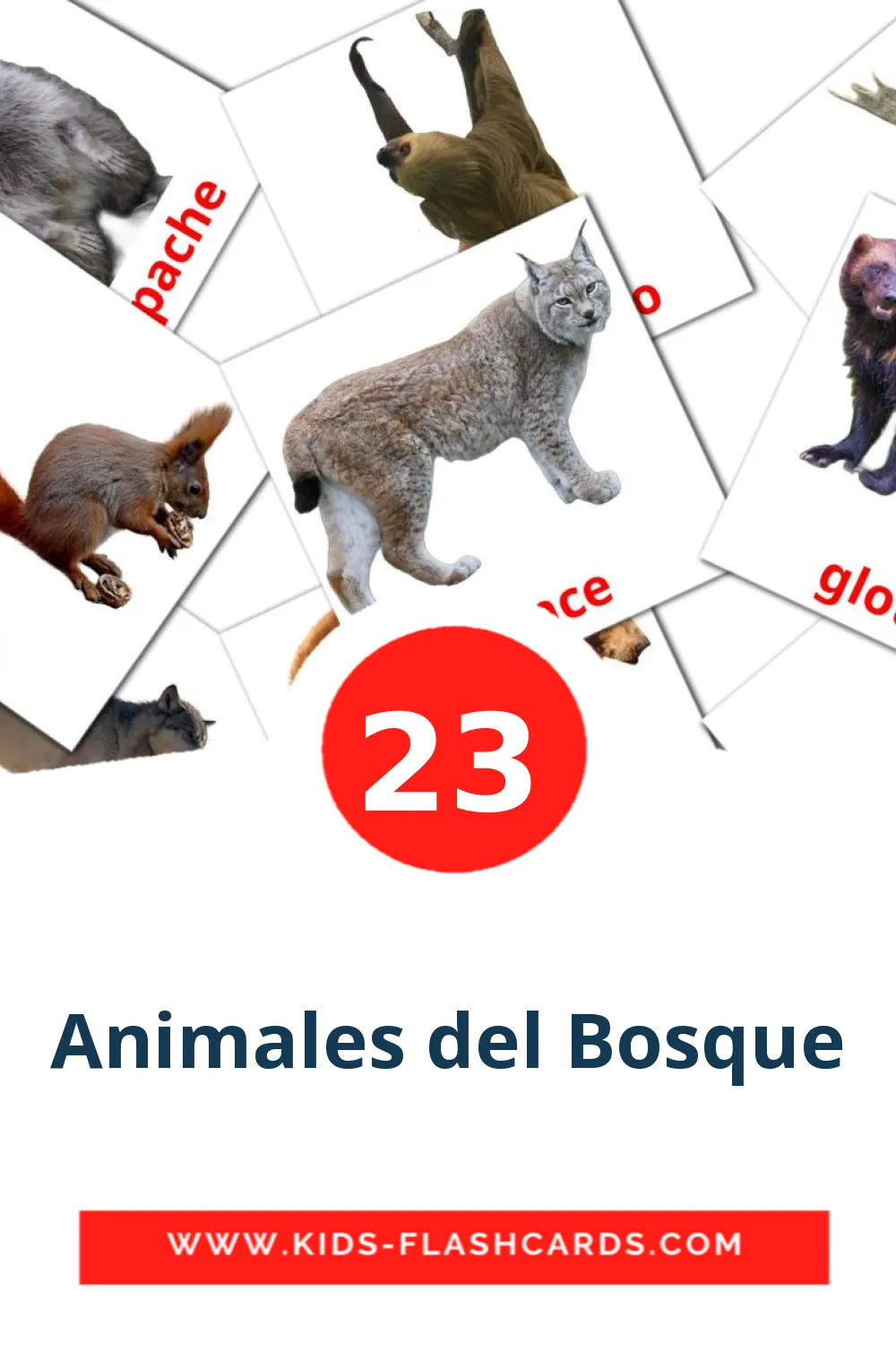 23 Cartões com Imagens de Animales del Bosque para Jardim de Infância em espanhol