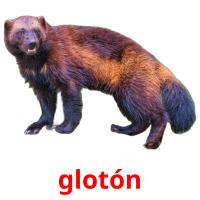 glotón card for translate