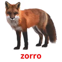 zorro cartões com imagens