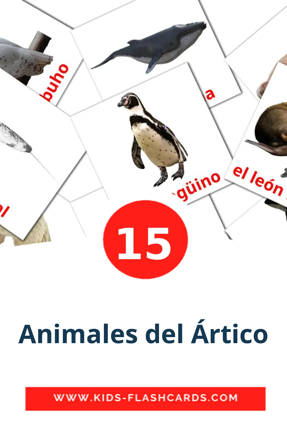 15 Cartões com Imagens de Animales del Ártico para Jardim de Infância em espanhol