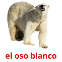 el oso blanco cartões com imagens